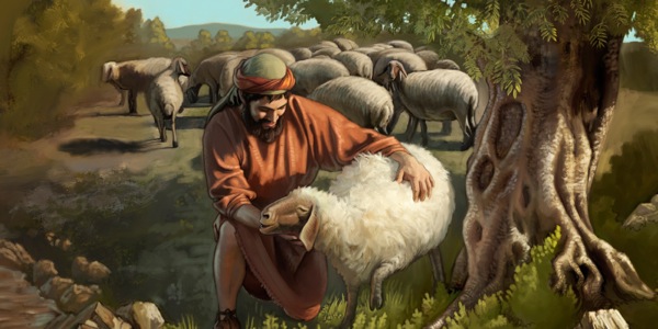 [በገጽ 21 ላይ የሚገኝ ሥዕል]