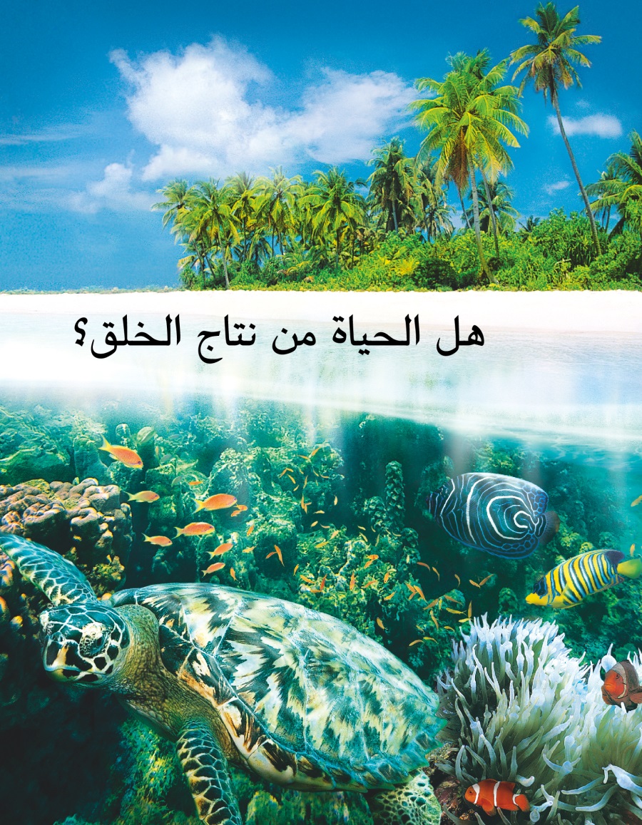 هل الحياة من نتاج الخلق؟‏