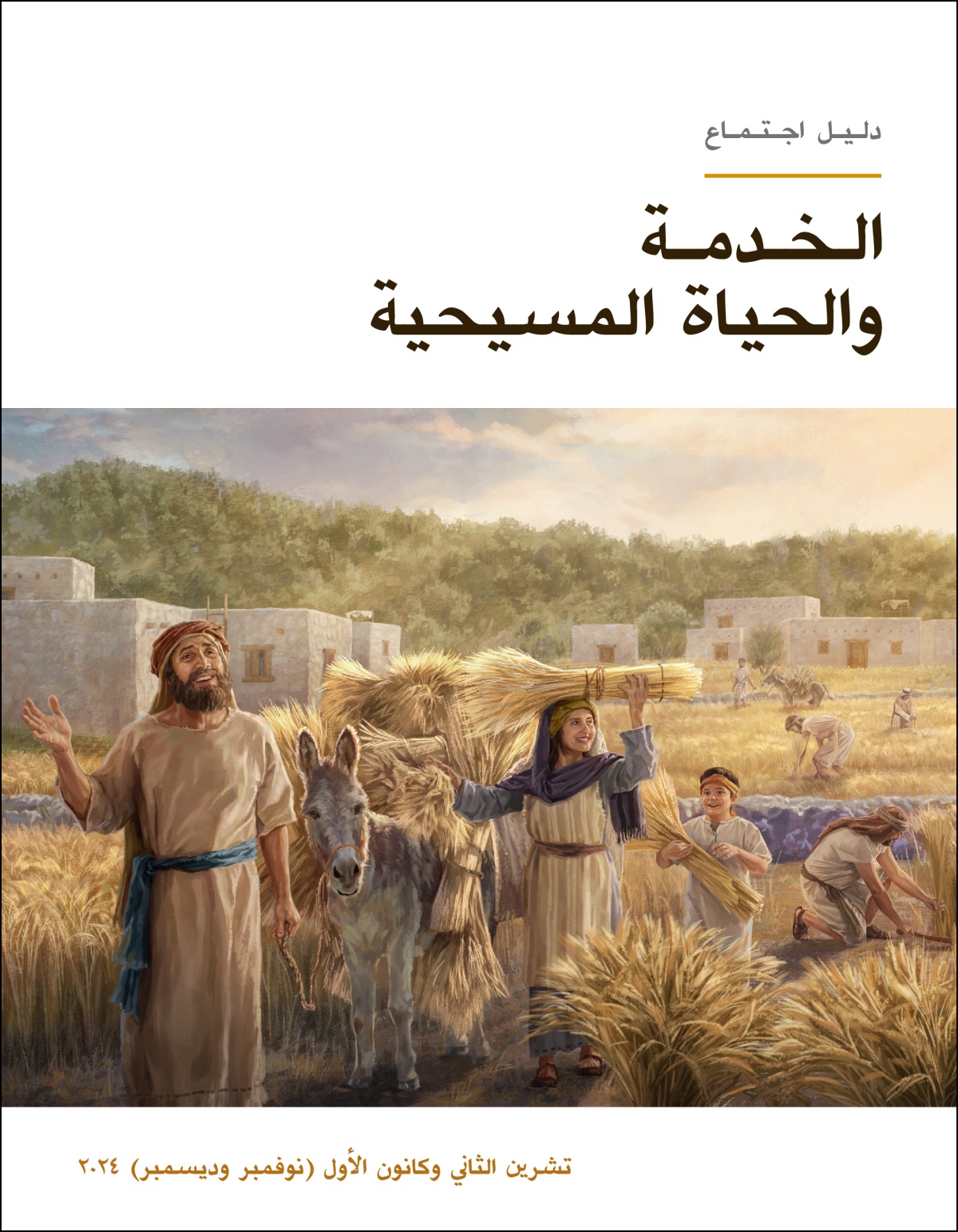 إسرائيليون يجمعون بفرح حصادًا وافرًا من القمح