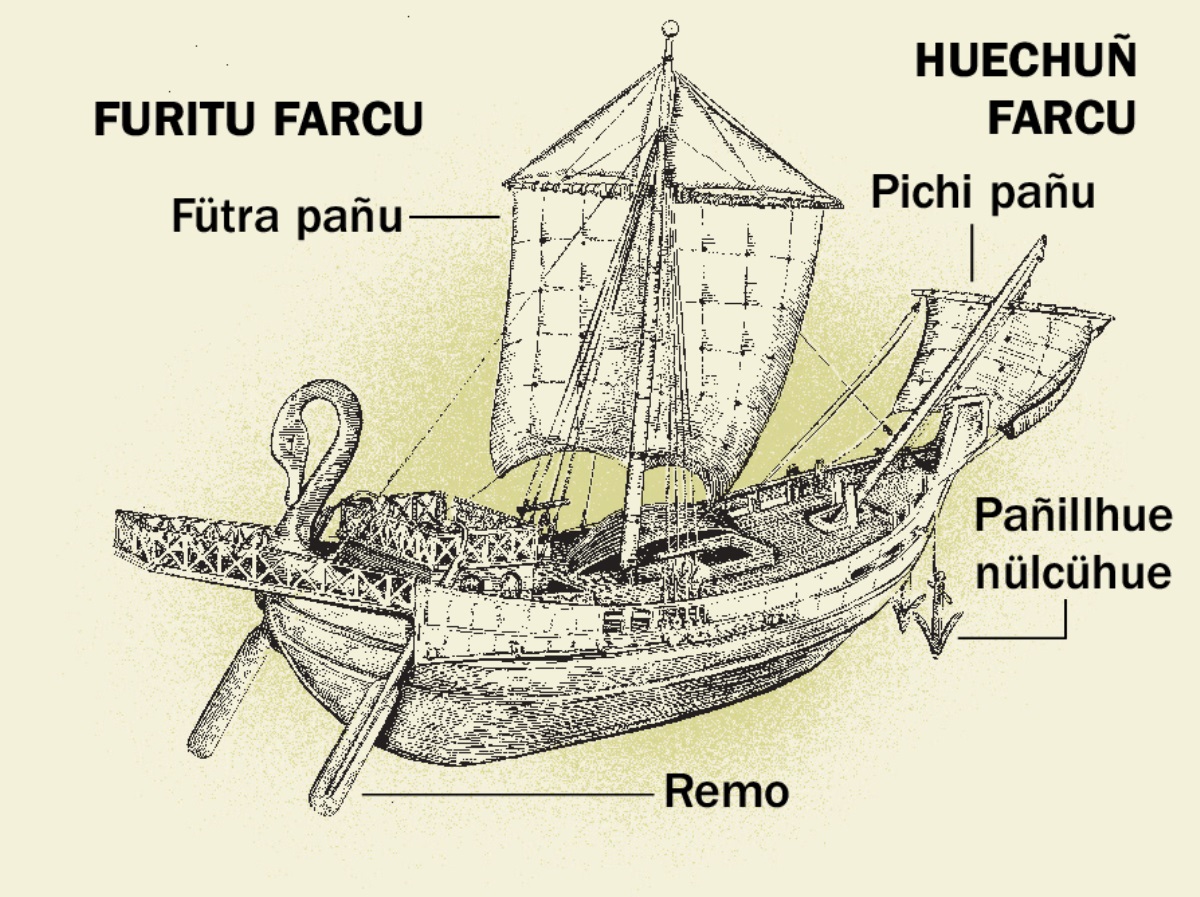 Huirintuculei 4 dungu ñi nieel cuifique farcu: 1. Furi püle pengei tati remo ngüneniefilu farcu. 2. Fütra pañu püramngelu. 3. Pañillhue nülcühue. 4. Doi huechuñ farcu püle mülei ti pichi pañu püramngelu.