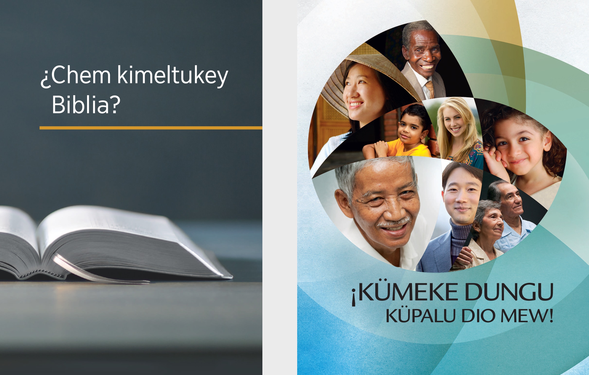 Ti lifru “¿Chem kimeltukey Biblia?” ka ti papel “¡Kümeke dungu küpalu Dio mew!”.