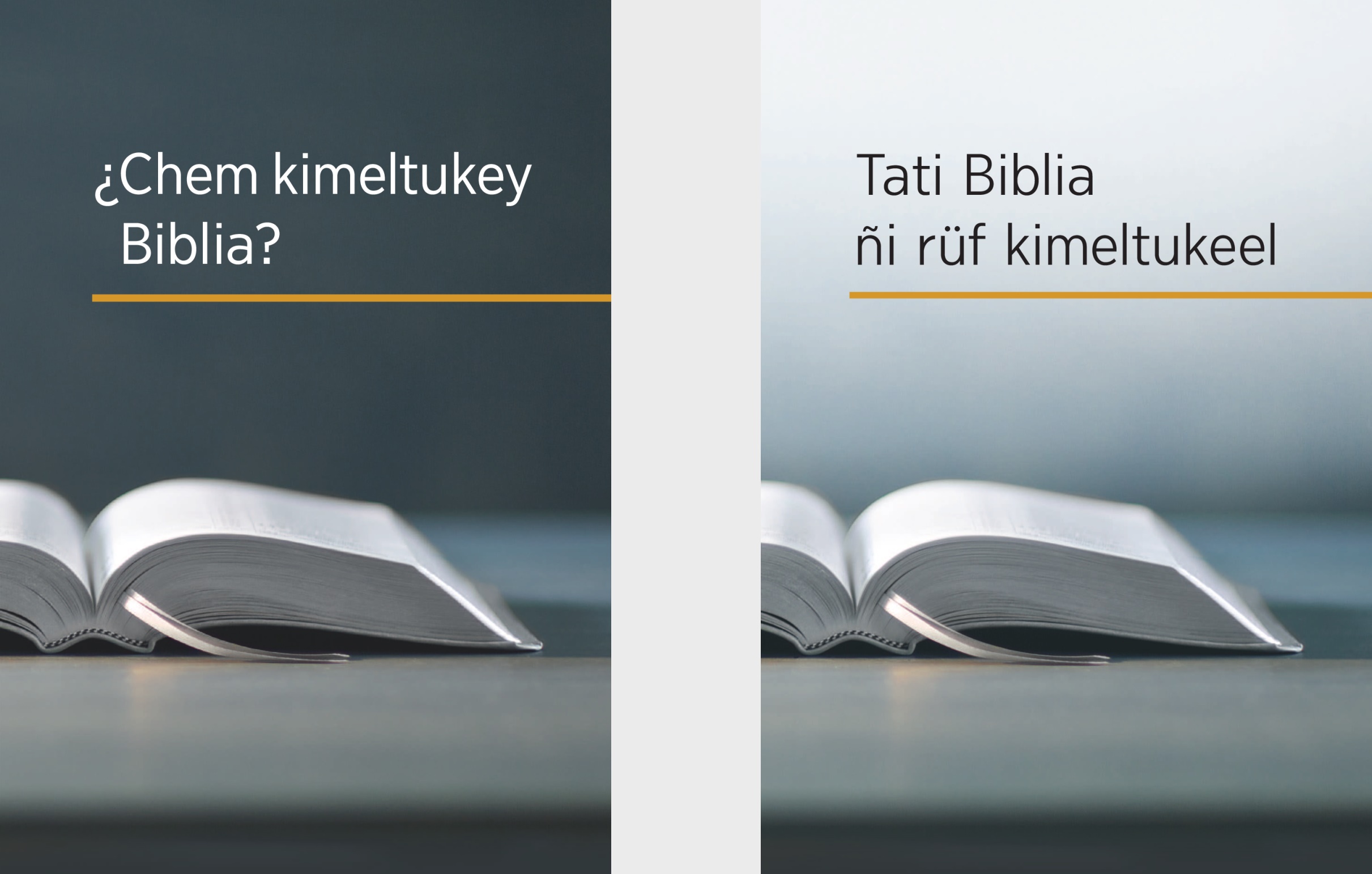 Ti lifru “¿Chem kimeltukey Biblia?” ka ti lifru “Tati Biblia ñi rüf kimeltukeel”.