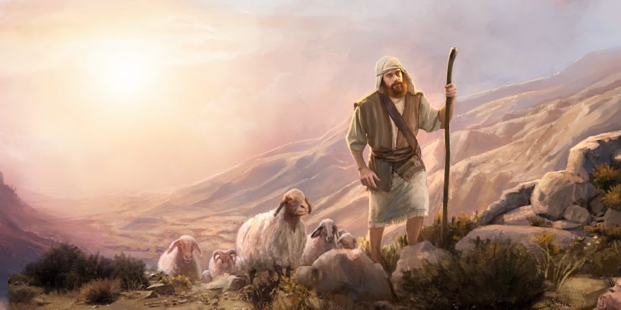 Un pastor guiando a sus ovejas por el desierto.