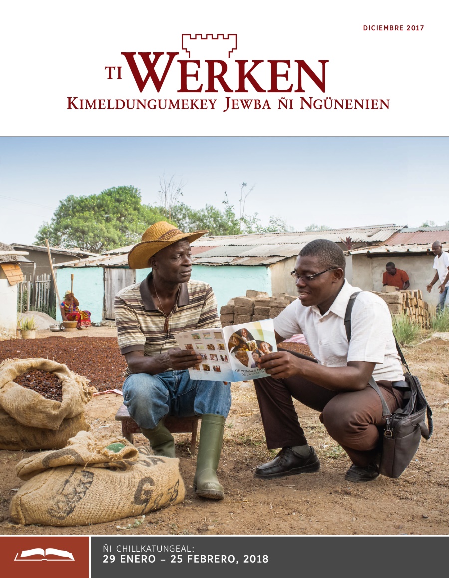 Ti Werken (ñi chillkatungeal), diciembre 2017