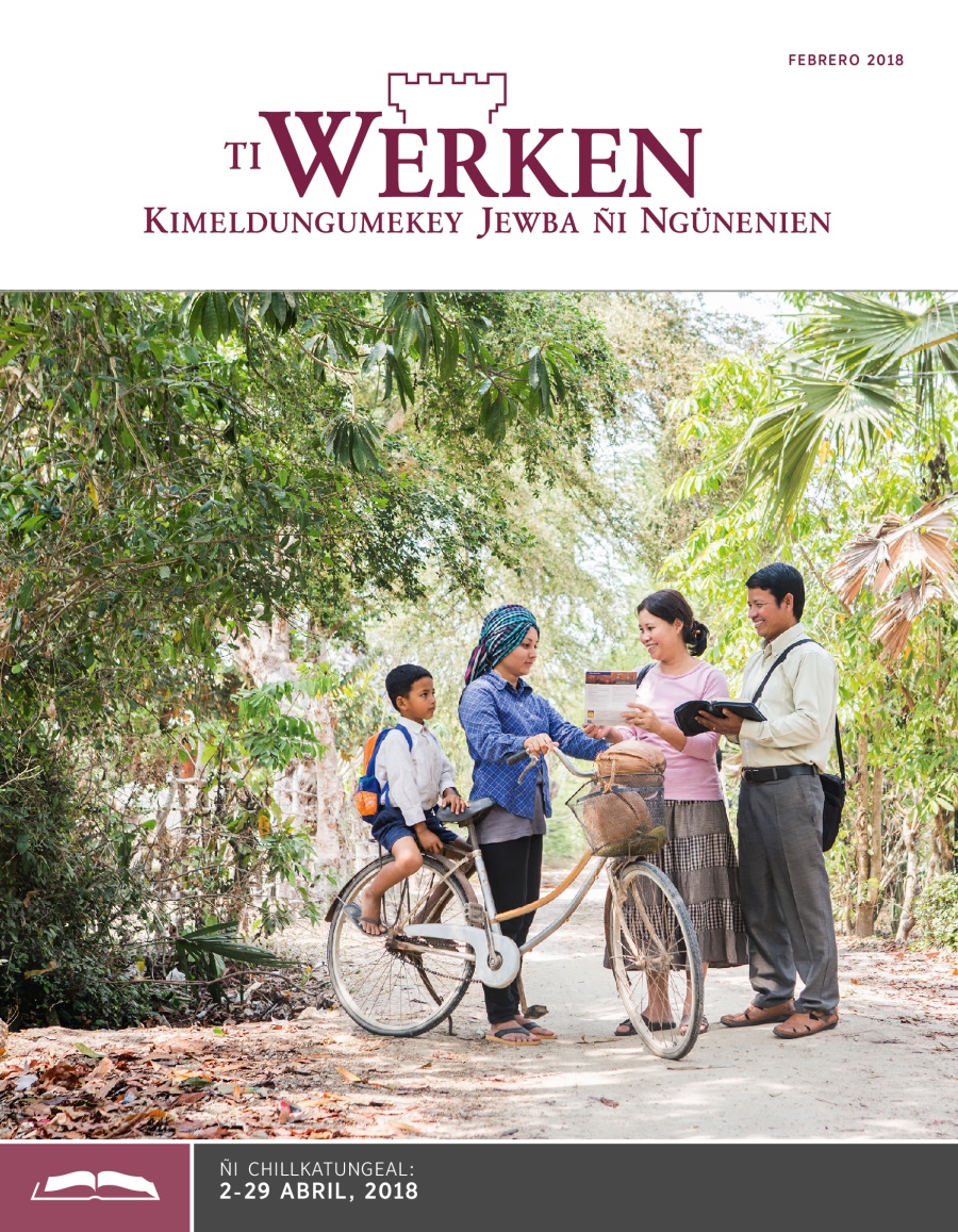 Ti Werken (ñi chillkatungeal), febrero 2018