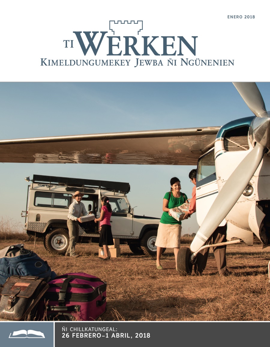 Ti Werken (ñi chillkatungeal), enero 2018