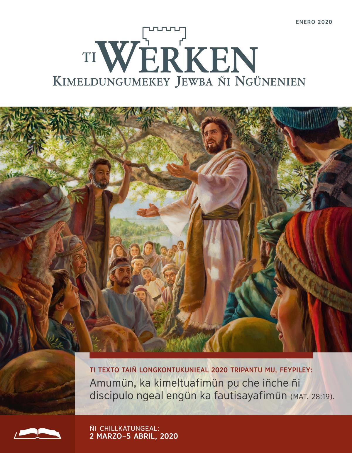 Ti Werken (ñi chillkatungeal), enero 2020