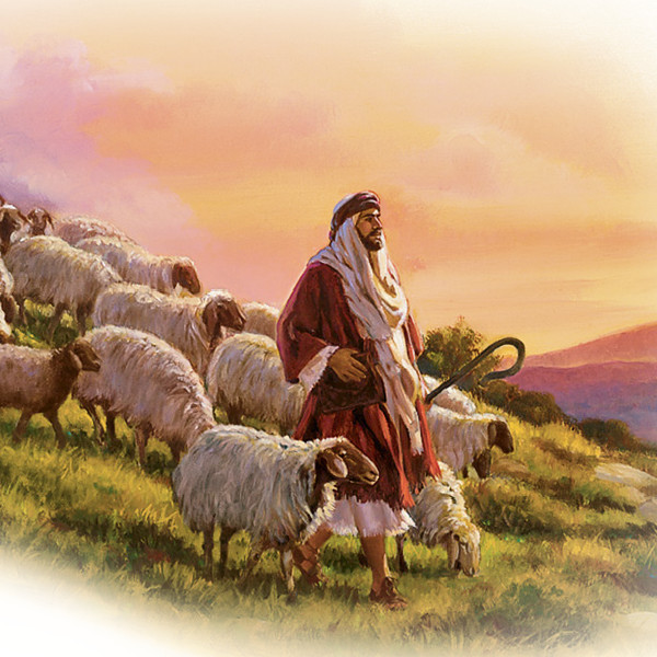 A shepherd with his sheep