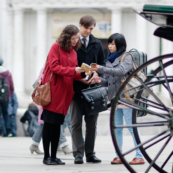 Jehovah’s Witnesses in the public ministry