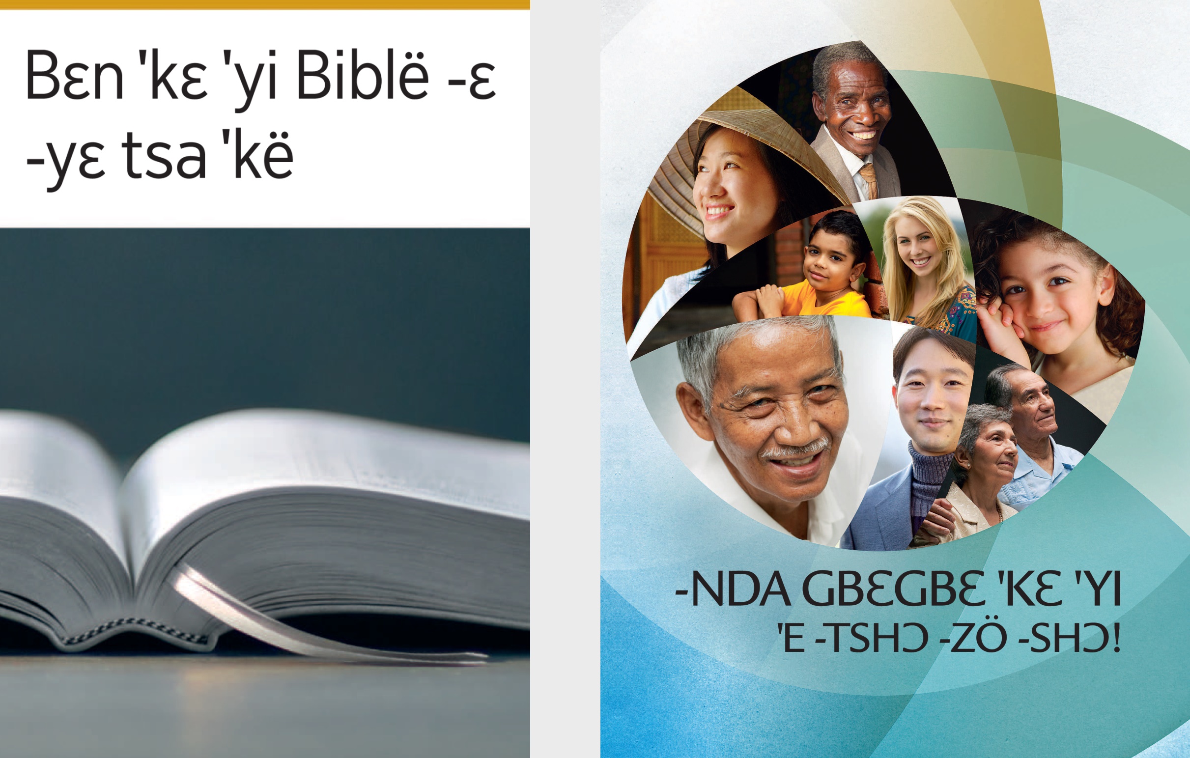 The book ‘What Can the Bible Teach Us?’ and the brochure ‘Good News From God!’