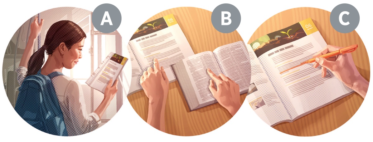 Gambar: Sahalak borua persiapan sebelum marsiajar Bibel. A. Dijaha ibana bagian na di jolo di sada pelajaran. B. Dijaha ibana ma ayat ni Bibel na tarsurat di bukku i. C. Ditandai ibana ma alus ni sukkun-sukkun na adong disi.