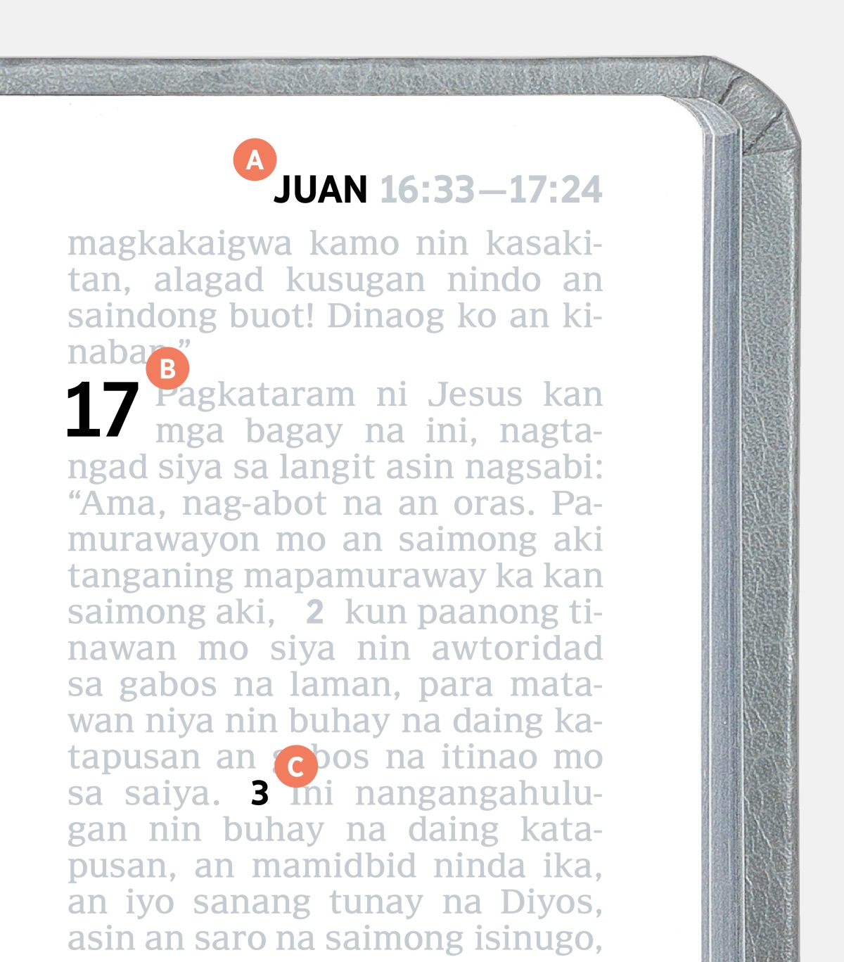 Mga label na nanunungod sa feature A, B, asin C kan sarong pahina sa Bibliya.