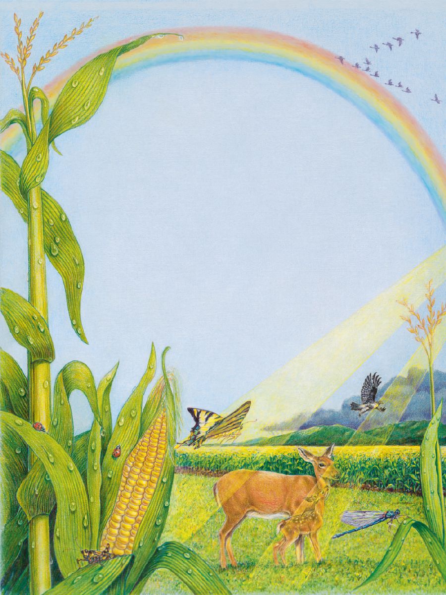 Sinag kan saldang na nagtatama sa maisan asin sarong bulalangaw o rainbow sa langit