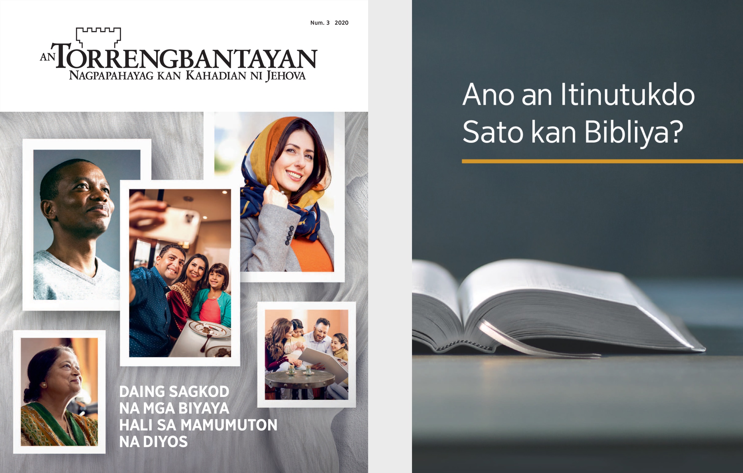 An librong ‘Ano an Itinutukdo Sato kan Bibliya?’ asin ‘An Torrengbantayan’ Num. 3 2020.