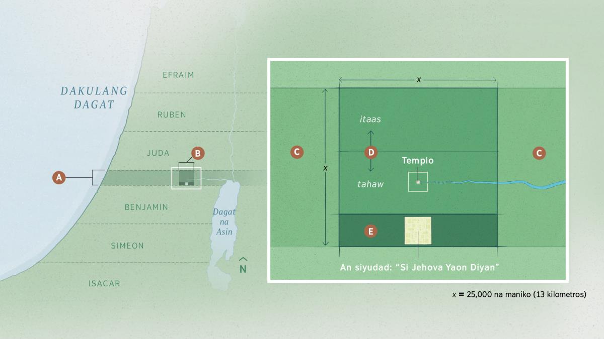 An mapa kan daga na itinagama ni Jehova na inaapod na ‘an kontribusyon’ asin sarong pinadakulang parte kan mapa na diyan mahihiling an kuwadradong porsiyon kan daga na may sukol na 25,000 na maniko (13 kilometros) puon norte sagkod timog asin 25,000 na maniko puon sirangan sagkod sulnupan. An kuwadradong porsiyon na ini kan daga inaapod na ‘an bilog na kontribusyon’ asin nababanga sa tulong pabalagbag na porsiyon—an itaas na porsiyon, an tahaw na porsiyon kun sain yaon an templo, asin an ibabang porsiyon kun sain yaon an siyudad na inaapod na ‘Si Jehova Yaon Diyan.’