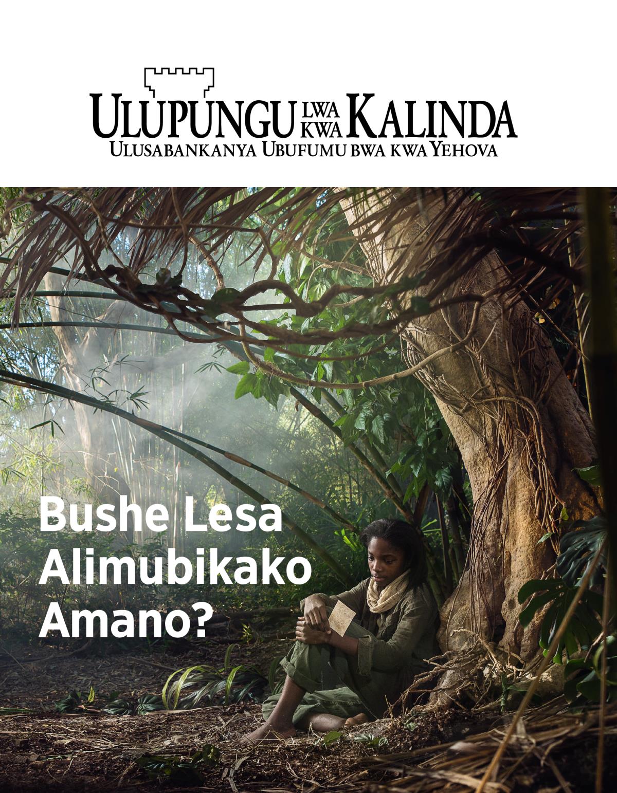 Ulupungu lwa kwa Kalinda, Na. 3, 2018 | Bushe Lesa Alimubikako Amano?