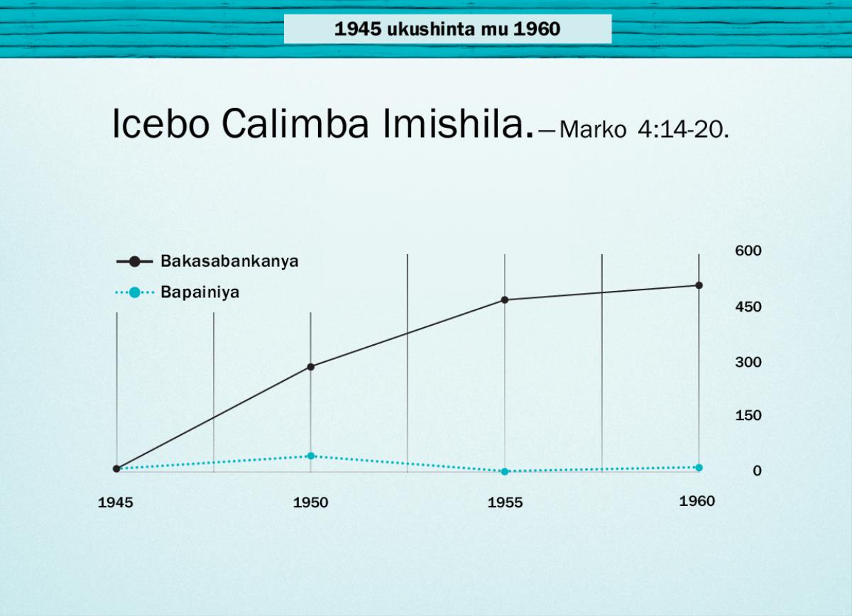Icikope pe bula 86