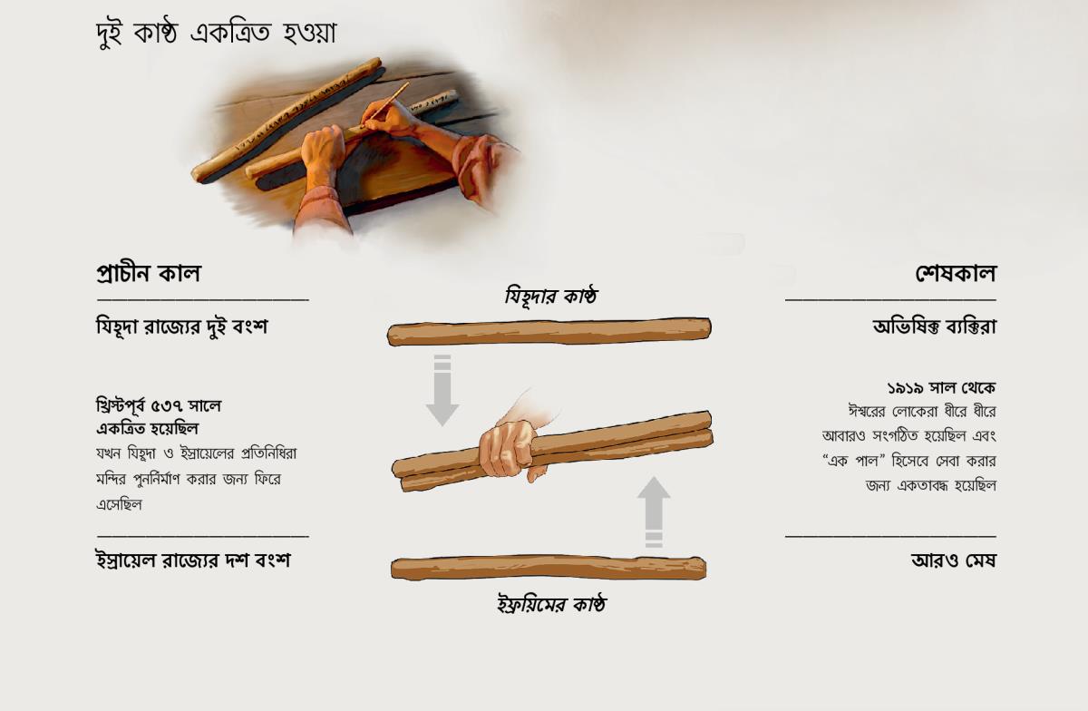 দুই কাষ্ঠ একত্রিত হয়​—⁠পাচীন কালে এবং আধুনিক সময়ে