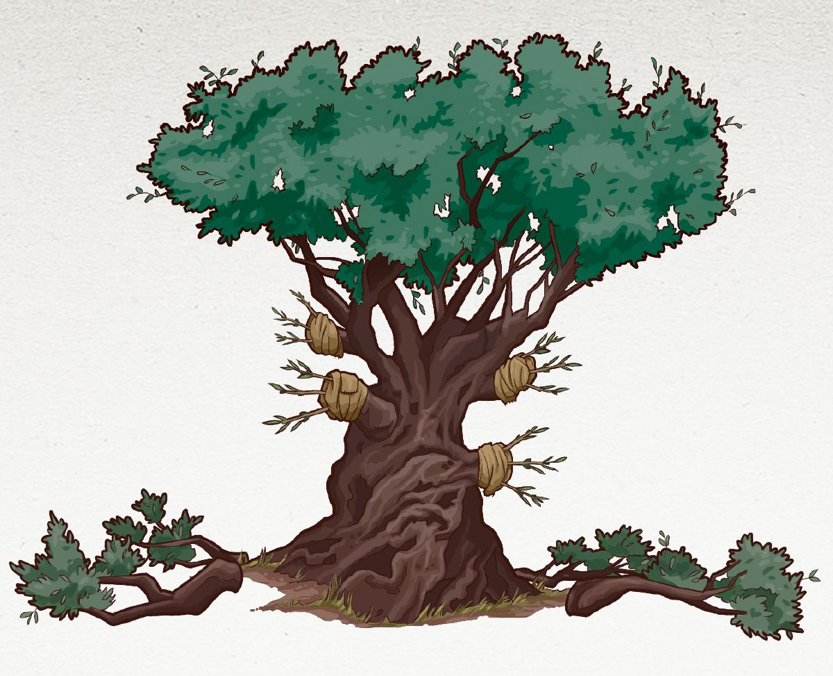 Éve’ane ya élé olivier ya kalate Beromain 11