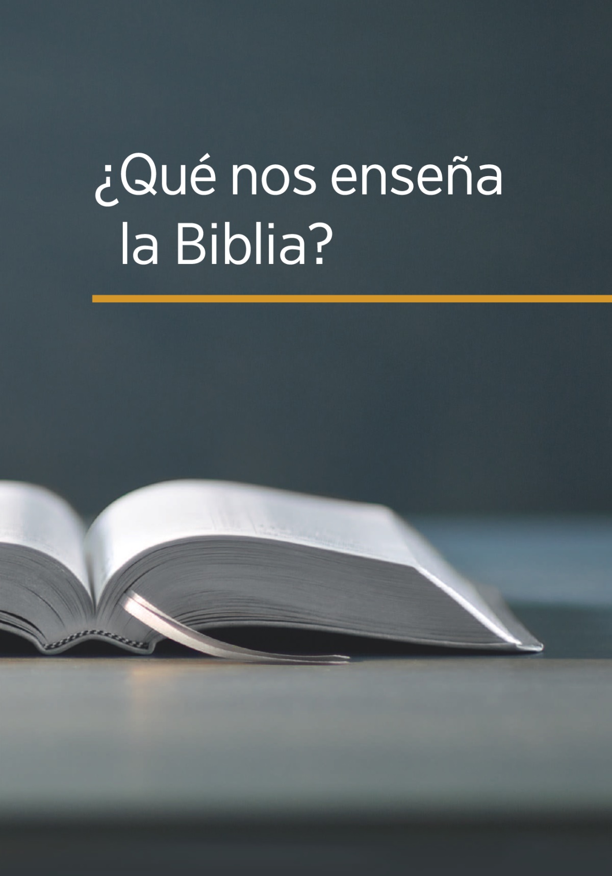 Portada del libro “¿Qué nos enseña la Biblia?”