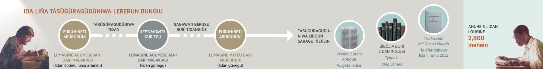 Sun le adügǘbei lúmagiñe labürüdagüdüni Bungiu Lererun tidan Bíbülia darí lumoun táfuridun iseri Bíbülia Traducción del Nuevo Mundo lidan irumu 2013
