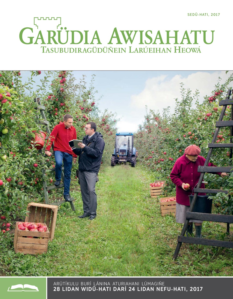 Garüdia Awisahatu (to lánina aturiahani), sedü-hati irumu 2017