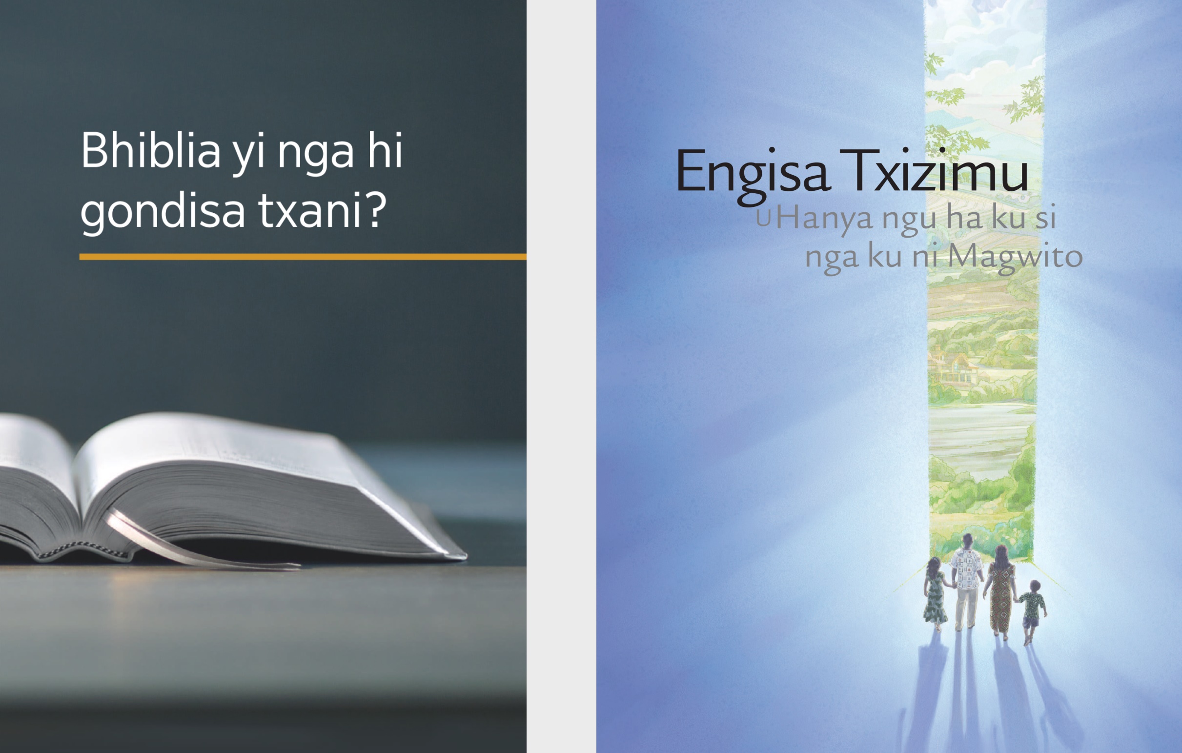 Dibhuku di di ku: ‘Bhiblia yi nga hi gondisa txani?’ ni dibroxura di di ku: ‘Engisa Txizimu u hanya ngu ha ku si nga ku ni magwito.’