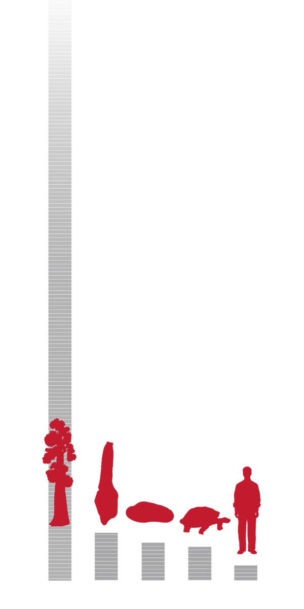 [Graph sa panid 6]