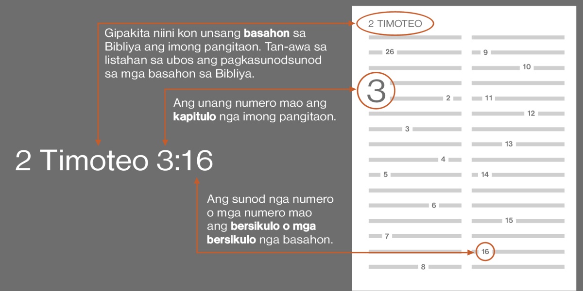 Kon unsaon pagpangitag mga teksto sa Bibliya gamit ang 2 Timoteo 3:16 ingong pananglitan. Ang basahon sa Bibliya nga imong pangitaon, sama sa basahon sa 2 Timoteo (tan-awa ang listahan sa ubos para sa komon nga pagkasunodsunod sa mga basahon sa Bibliya). Ang unang numero mao ang kapitulo, sama sa kapitulo 3. Ang mosunod nga numero o mga numero mao ang bersikulo o mga bersikulo nga basahon, sama sa bersikulo 16.