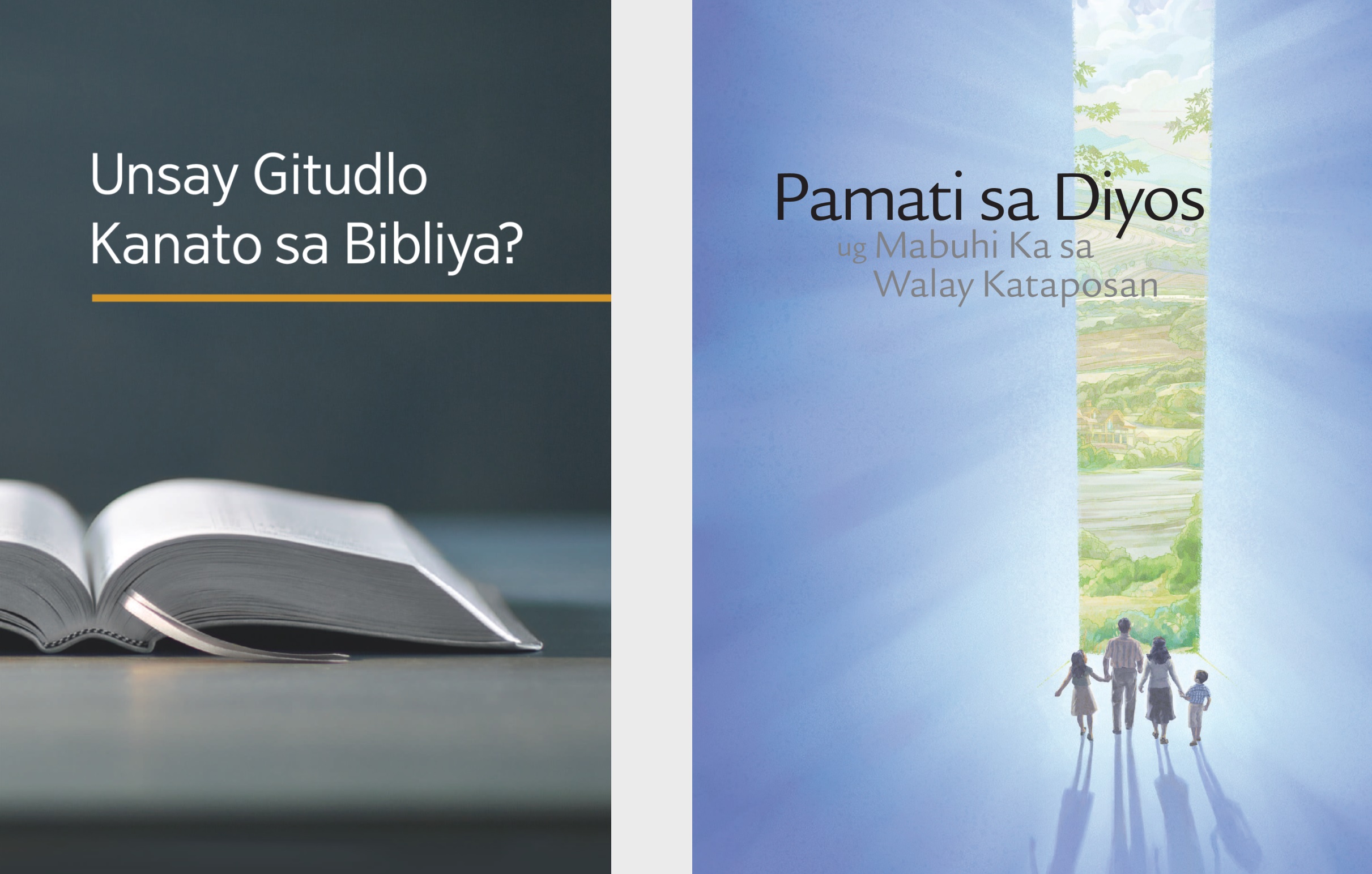 Ang librong ‘Unsay Gitudlo Kanato sa Bibliya?’ ug ang brosyur nga ‘Pamati sa Diyos ug Mabuhi Ka sa Walay Kataposan.’