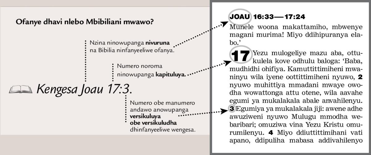 Otonyihedha wa mulagiho wa opepesa wa Malebo