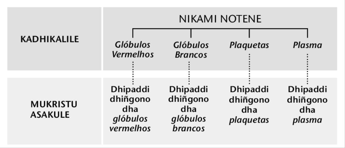 Tabela vanikukuni 216
