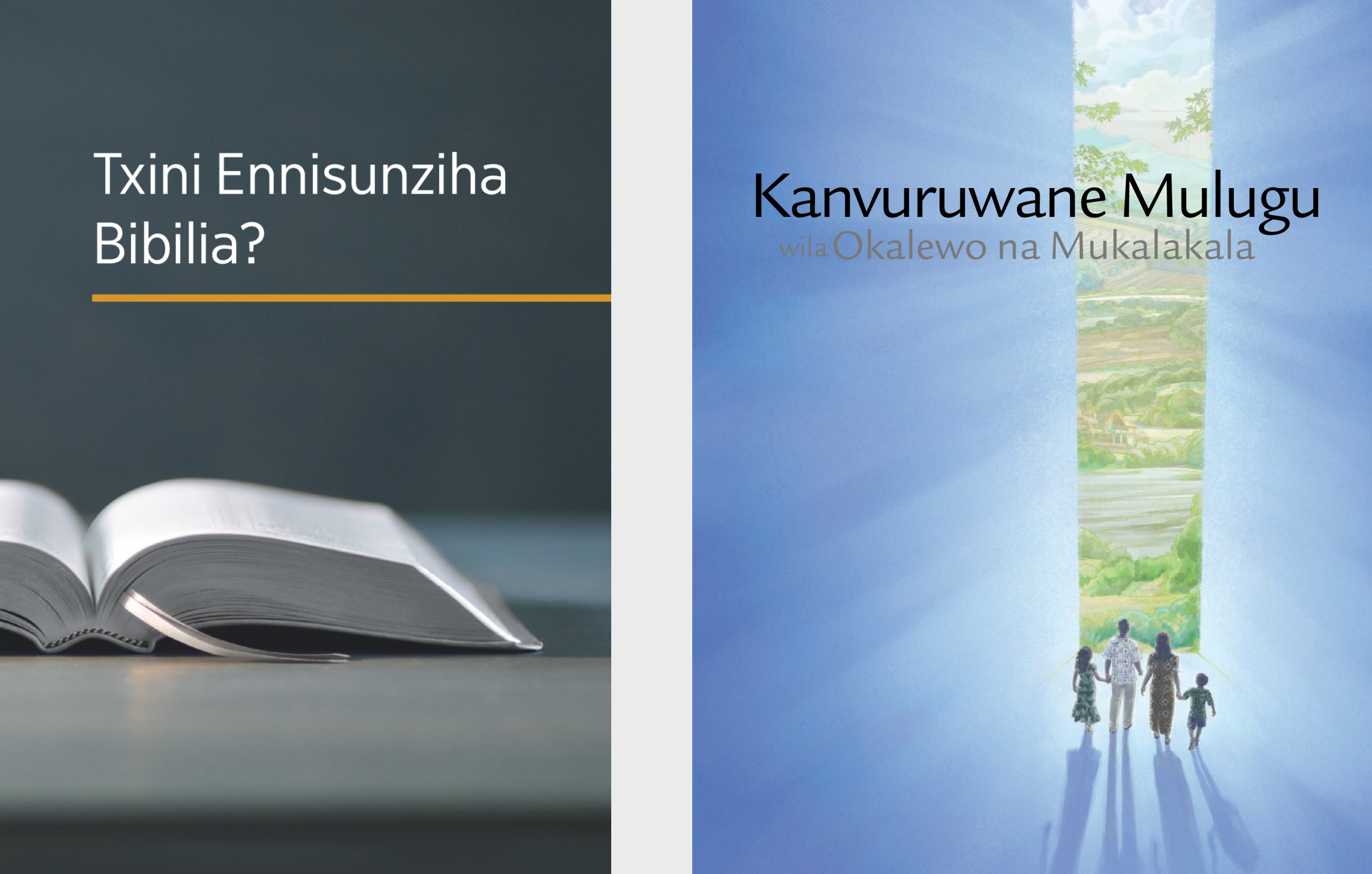 Nivuru Txini Ennisunziha Bibilia? vina brochura Kanvuruwane Mulugu Wila Okalewo Namukalakala.’
