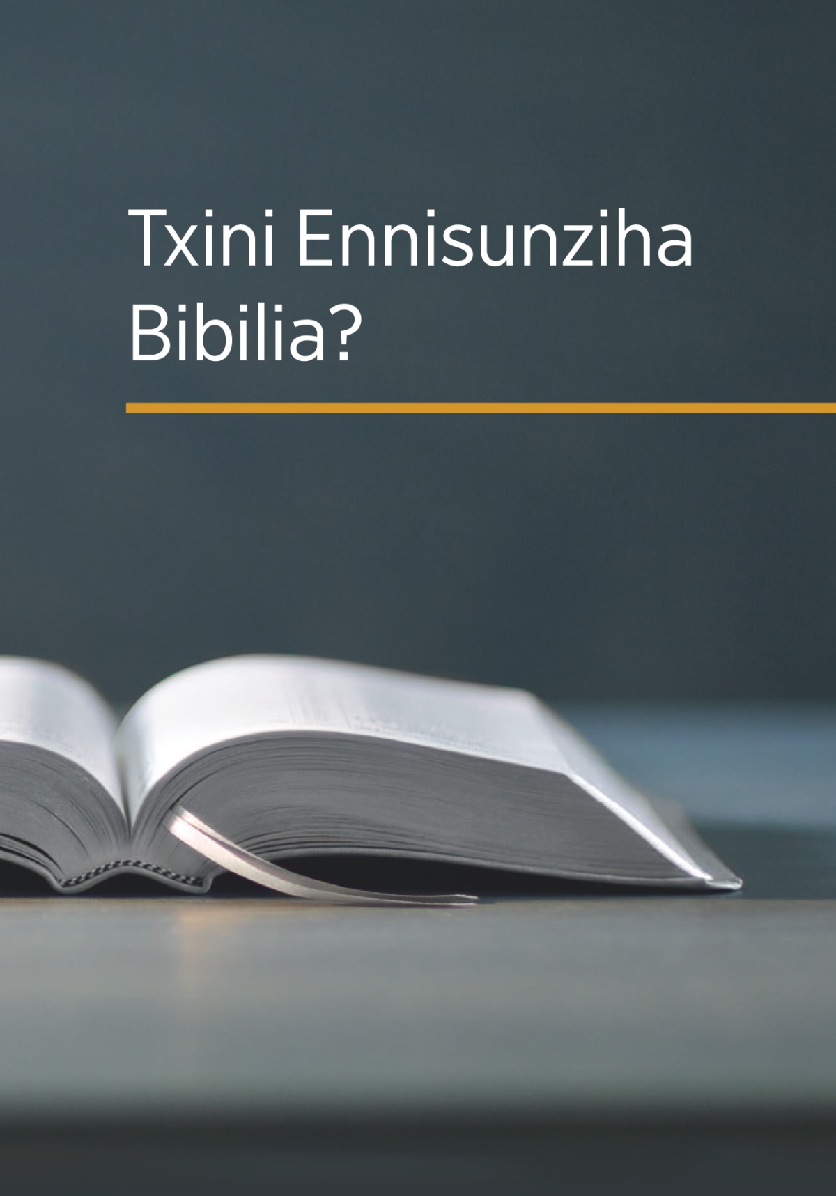 Nivuru Txini Ennisunziha Bibilia?’