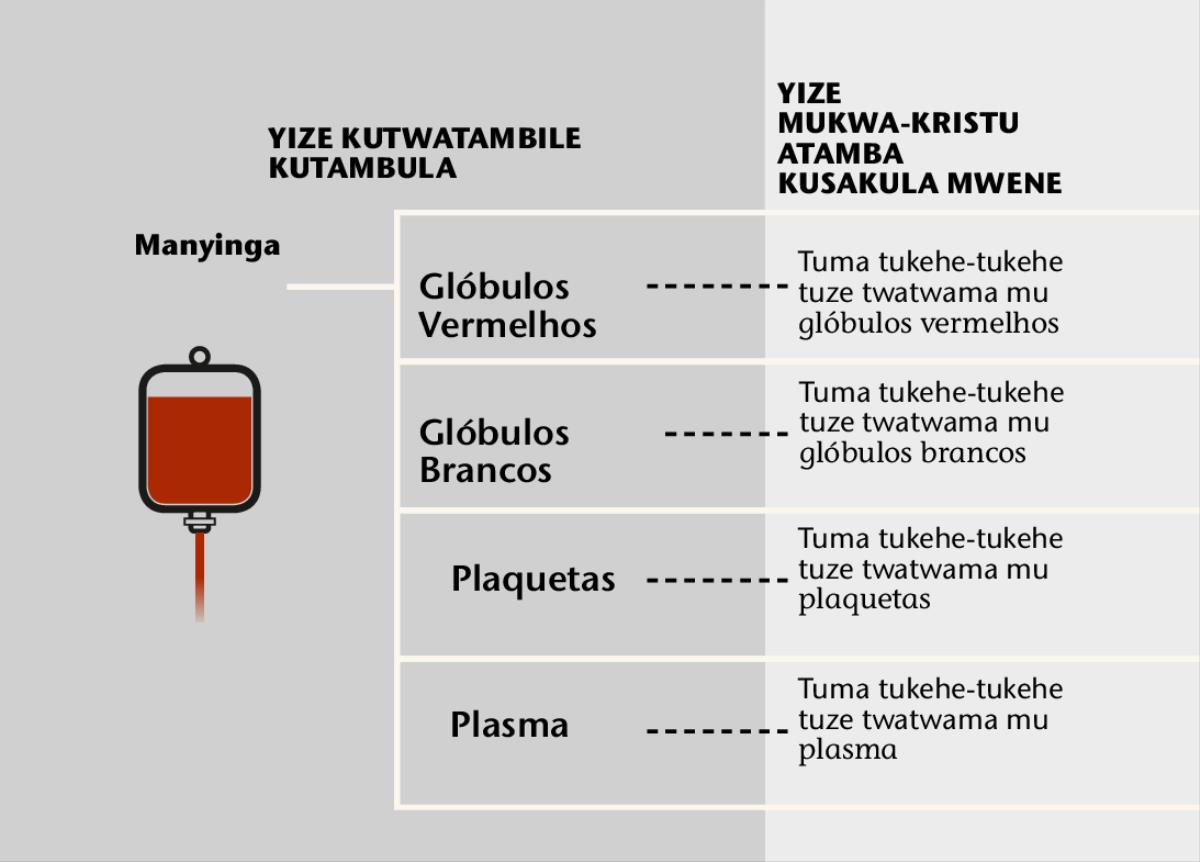Manyinga, yihanda yiwana ya mu manyinga, ni tuma tukehe-tukehe twatwama mu manyinga