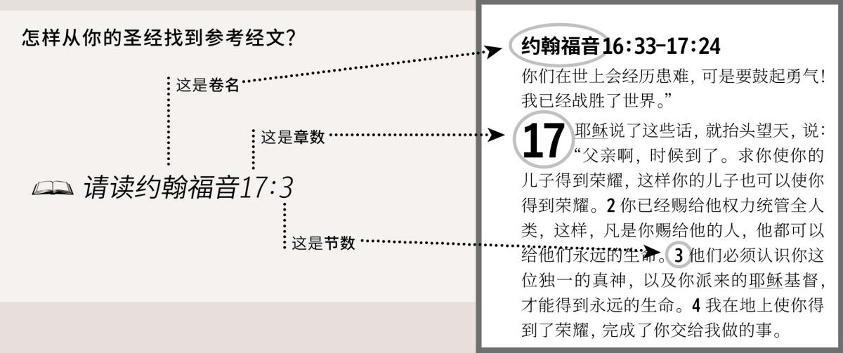 参考经文范例