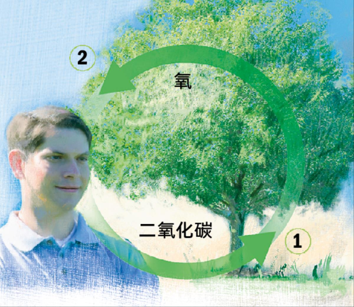 二氧化碳和氧的循环