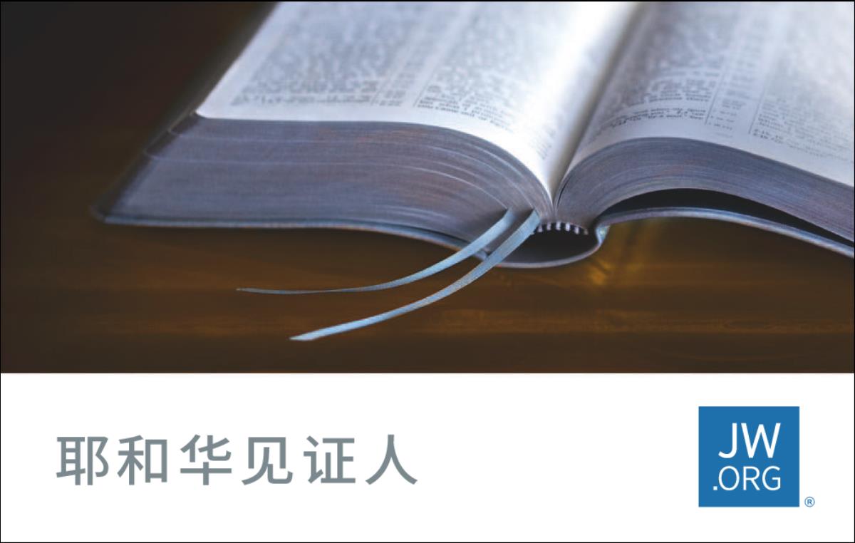 JW网站名片