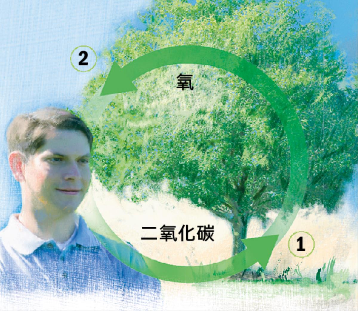 二氧化碳和氧的循環