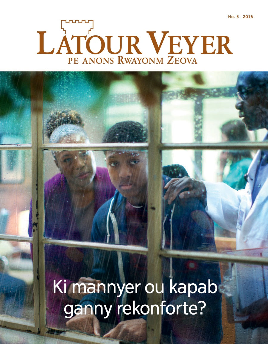 Latour Veyer No. 5 2016 | Kote nou kapab ganny rekonfor?