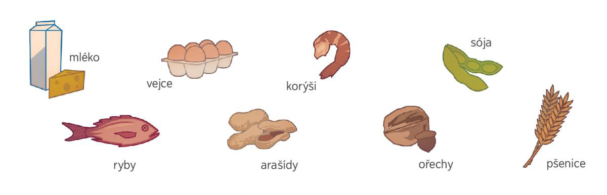 mléko, vejce, korýši, sója, ryby, arašídy, ořechy a pšenice