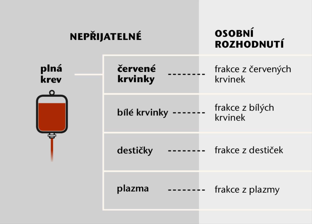 Krev, její čtyři hlavní složky a krevní frakce