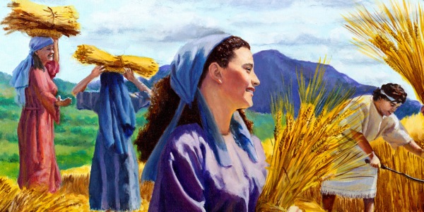 Sklízení obilí v biblických dobách