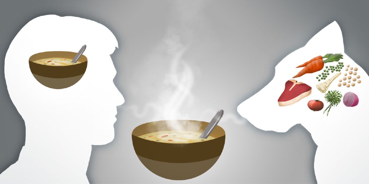 V lidské hlavě je zobrazená miska polévky, ale v psí hlavě každá použitá ingredience