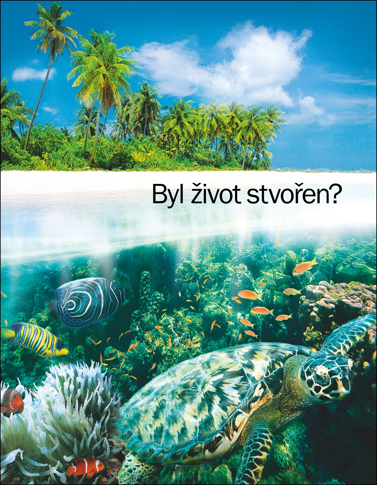 Brožura „Byl život stvořen?“