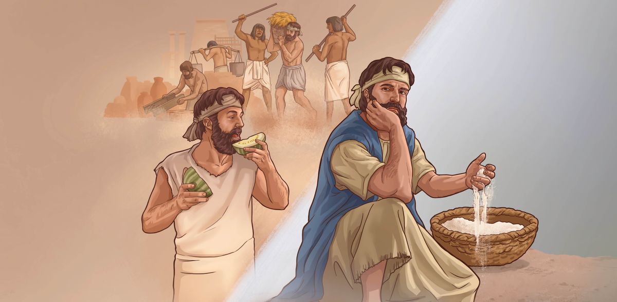 Koláž: Izraelita rozmrzele mne v ruce manu a vzpomíná na život v Egyptě. 1. Jí meloun. 2. Egypťané bijí a nutí do práce izraelské otroky.