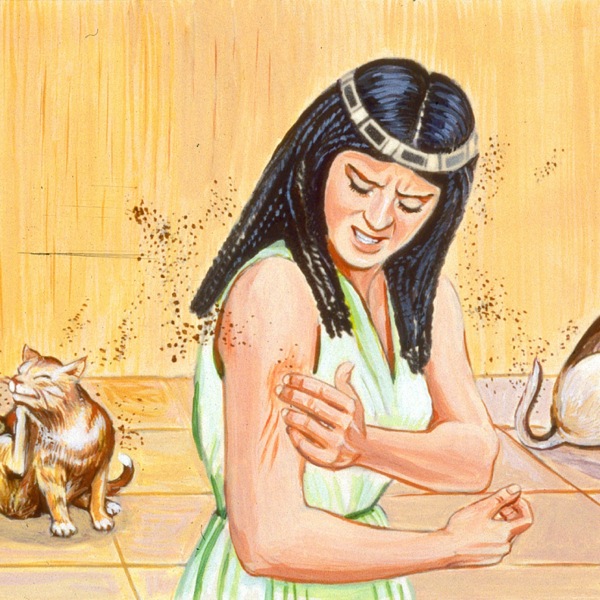Žena, kterou během třetí rány  bodají komáři