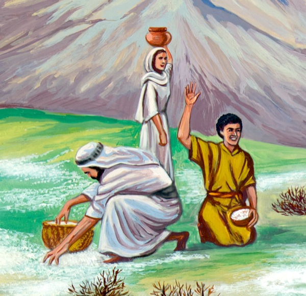 Izraelité sbírají mannu