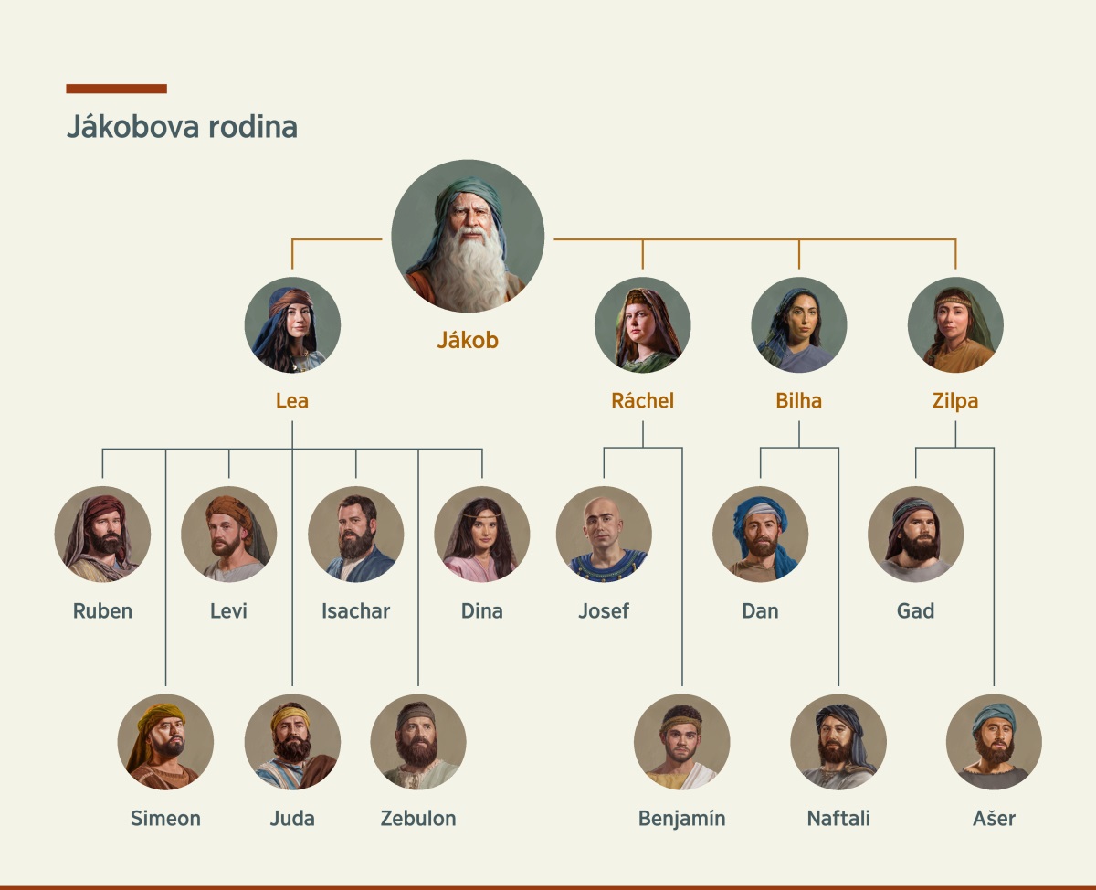 Rodokmen Jákobovy rodiny. Jákob měl dvě manželky, Leu a Ráchel, a dvě vedlejší manželky, Bilhu a Zilpu. Lea porodila Rubena, Simeona, Leviho, Judu, Isachara, Zebulona a Dinu. Ráchel porodila Josefa a Benjamína. Bilha porodila Dana a Naftaliho. Zilpa porodila Gada a Ašera.
