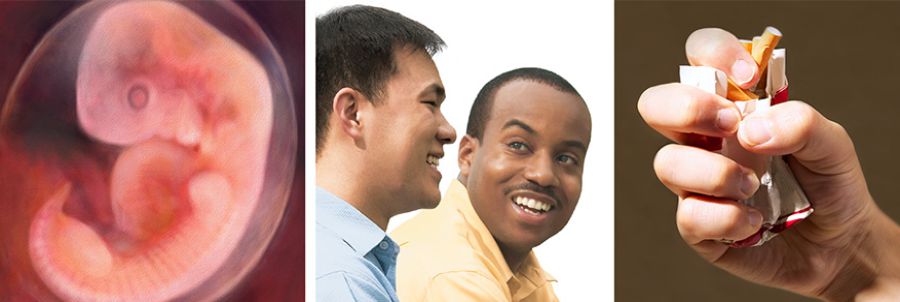 1. Un bebé que todavía no ha nacido; 2. Alguien estrujando un paquete de cigarrillos; 3. Dos amigos de razas diferentes
